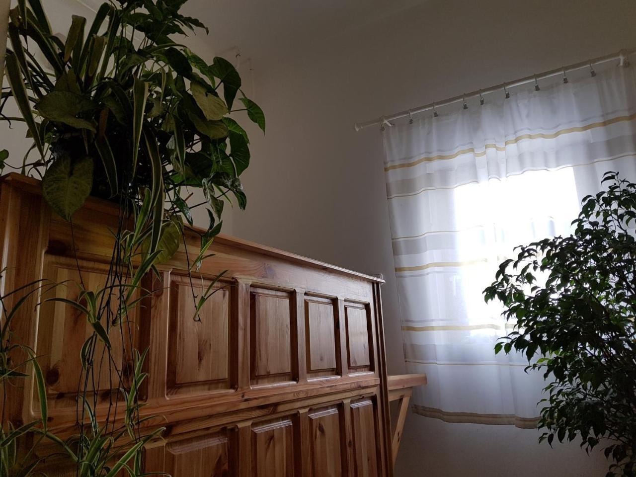 Bed and Breakfast Matyas Panzio à Szeged Extérieur photo